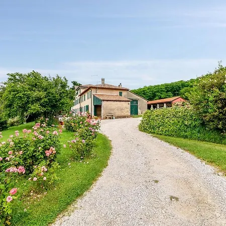 Ballo Montebelluna